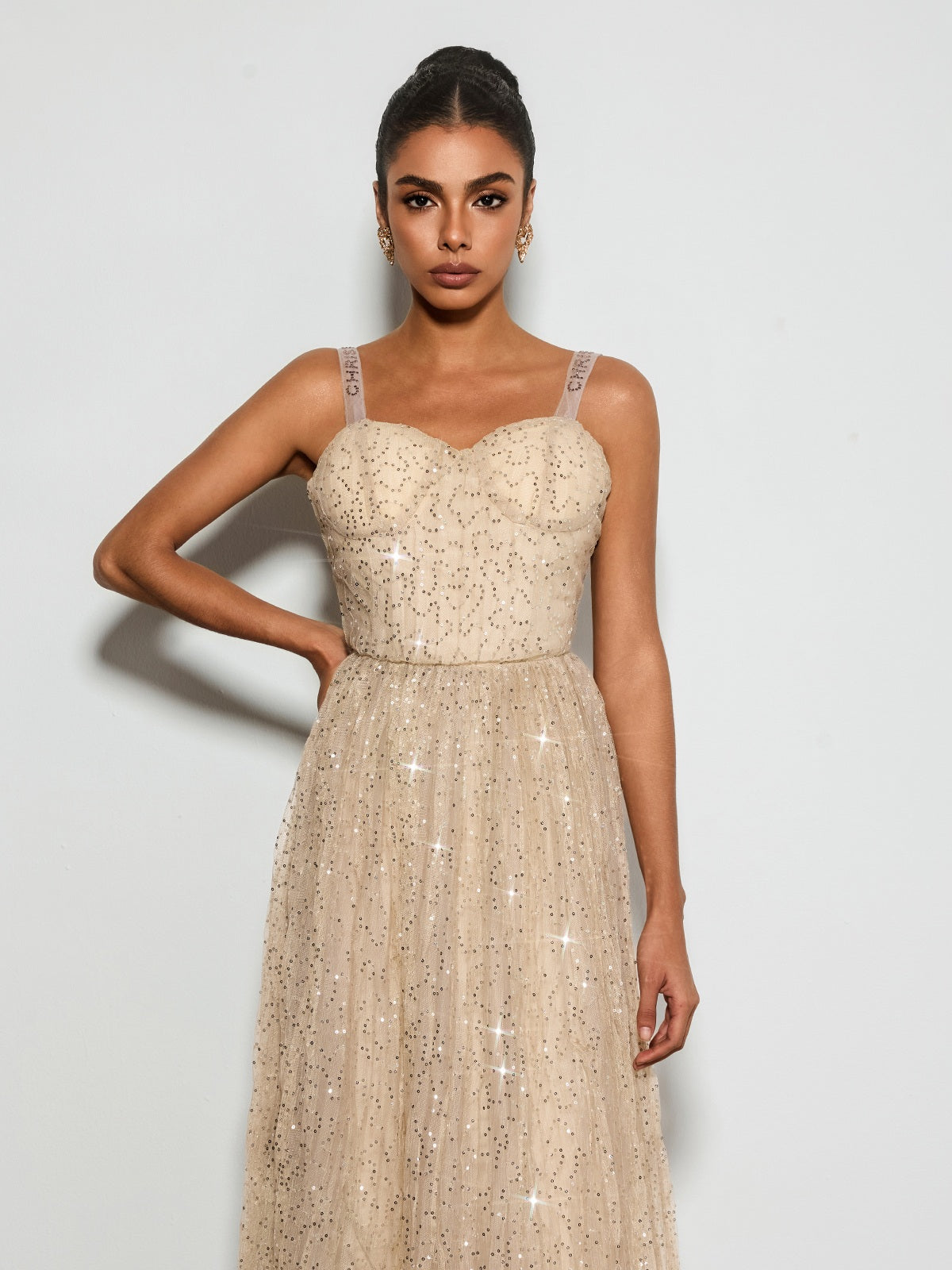 Belyric Mesh Sequin Flared Maxi Dress