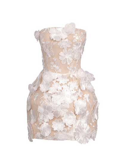 Rosstef Flower Embroidered Mini Dress