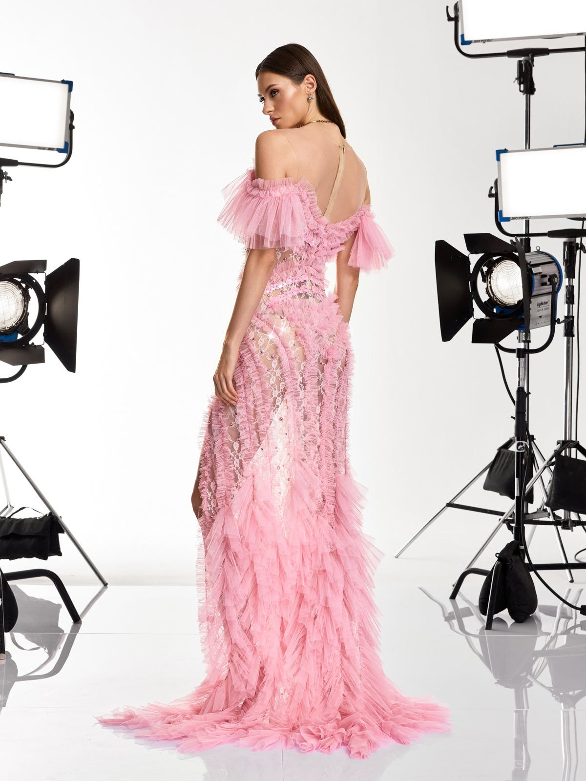 Daenerys Tulle Trimmed Crystal Maxi Dress