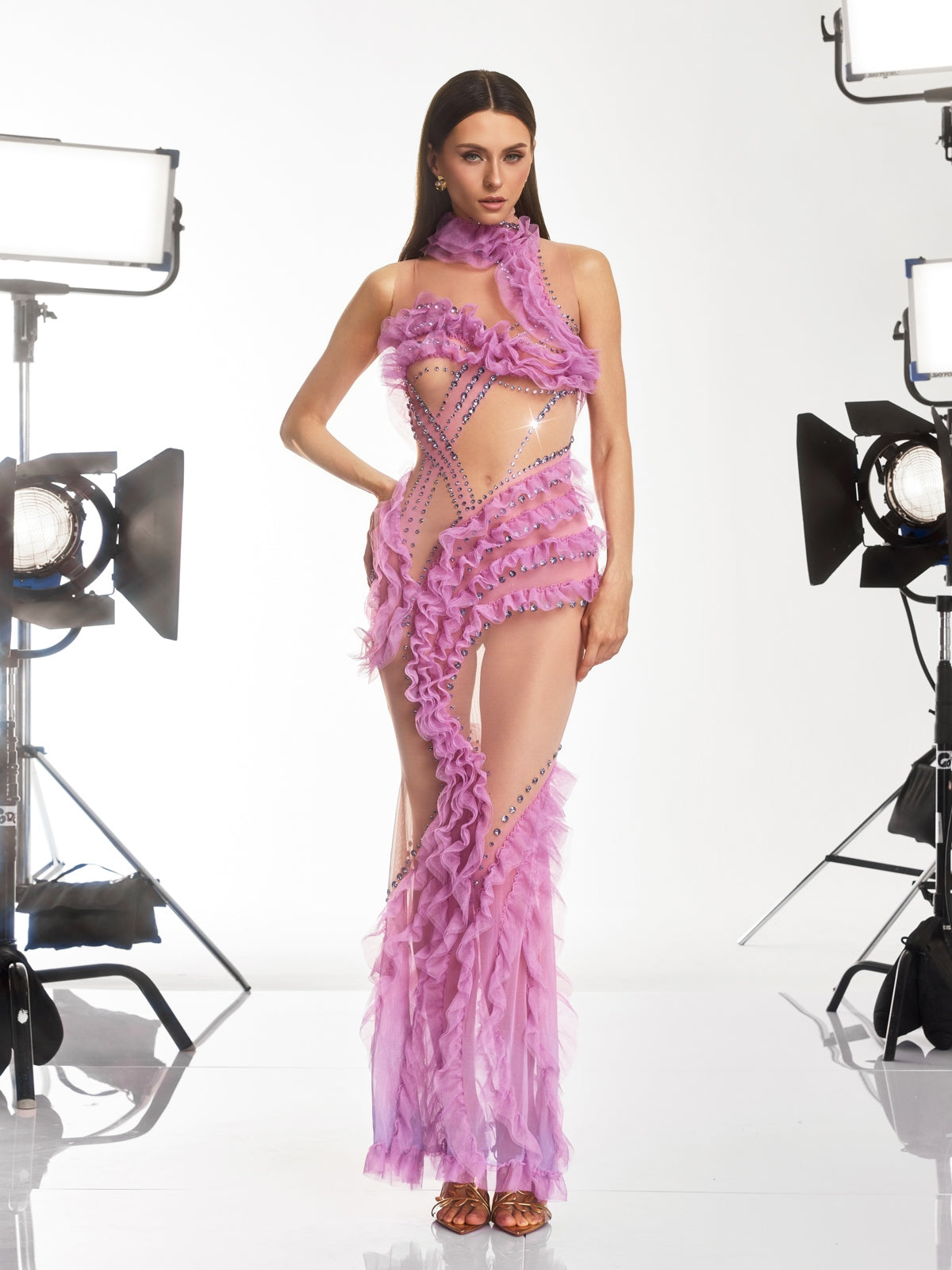 Dagur Crystal Tulle Trimmed Mesh Dress