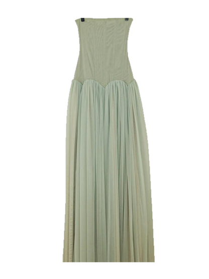 Kastor Strapless Flared Maxi Dress