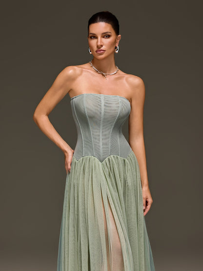 Kastor Strapless Flared Maxi Dress